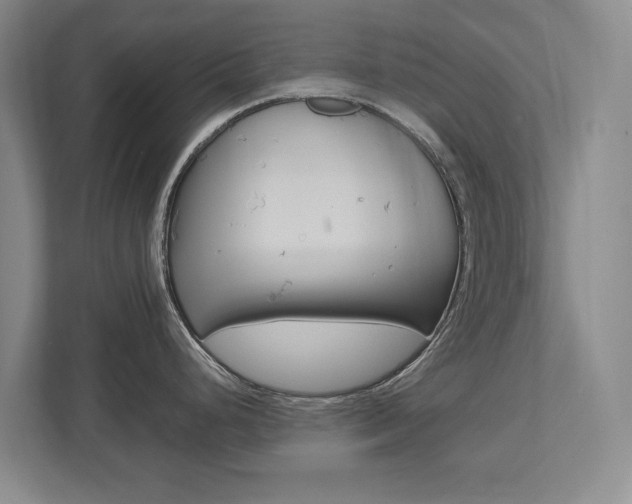 X0000112531248200908171138