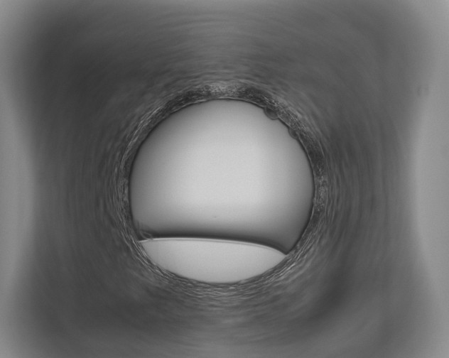 X0000112531249200908171138