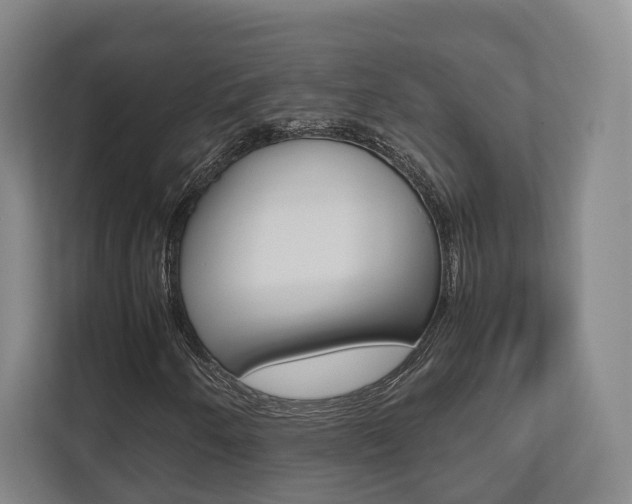 X0000112531250200908171138