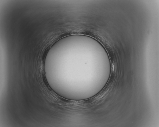 X0000112531251200908171138