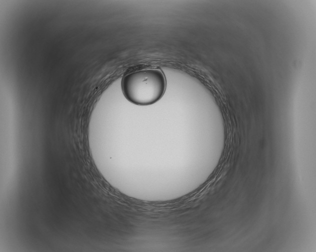 X0000112531253200908171137