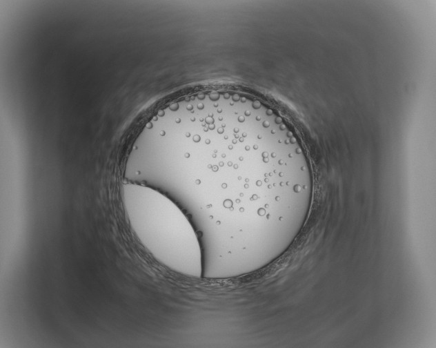 X0000112531255200908171137