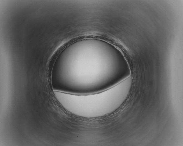 X0000112531256200908171137