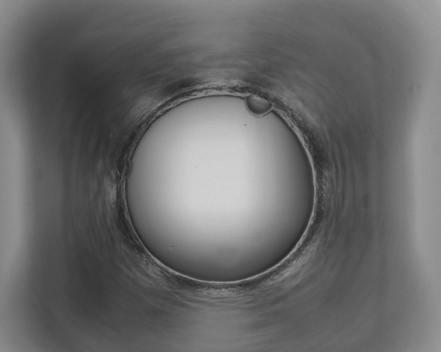 X0000112531257200908171137