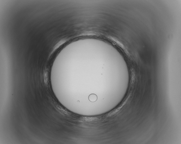 X0000112531258200908171137