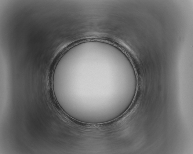 X0000112531259200908171137