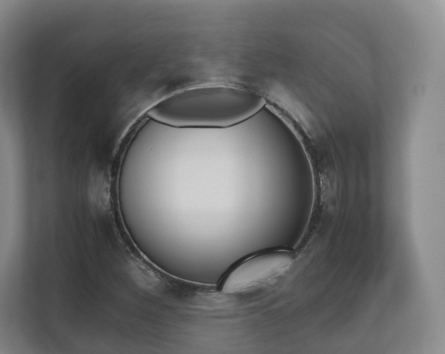 X0000112531260200908171137