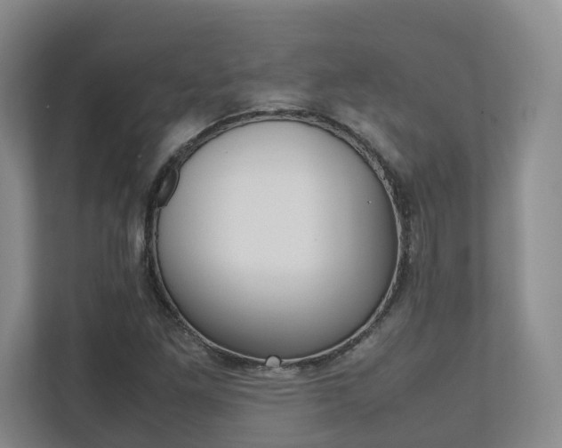 X0000112531261200908171137