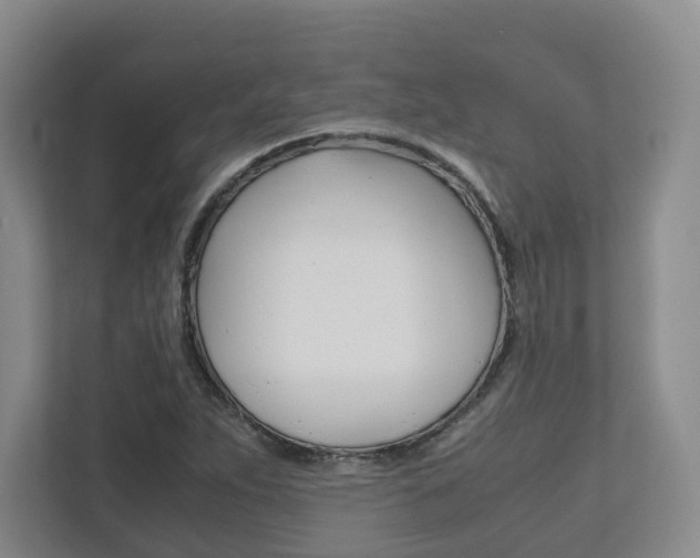 X0000112531263200908171137