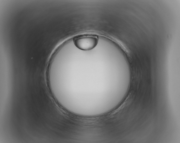 X0000112531264200908171137