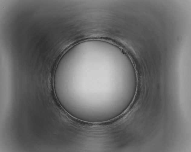 X0000112531265200908171137