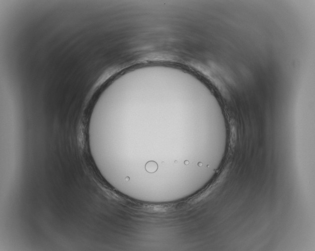 X0000112531266200908171137