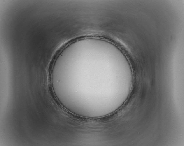 X0000112531267200908171137