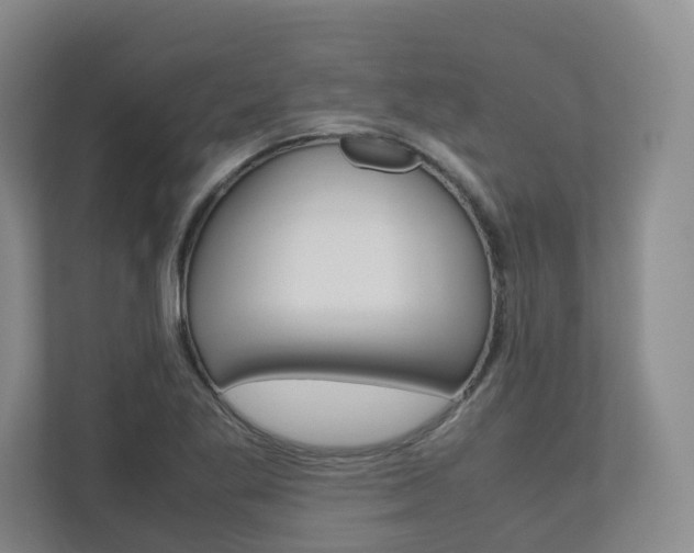 X0000112531269200908171137