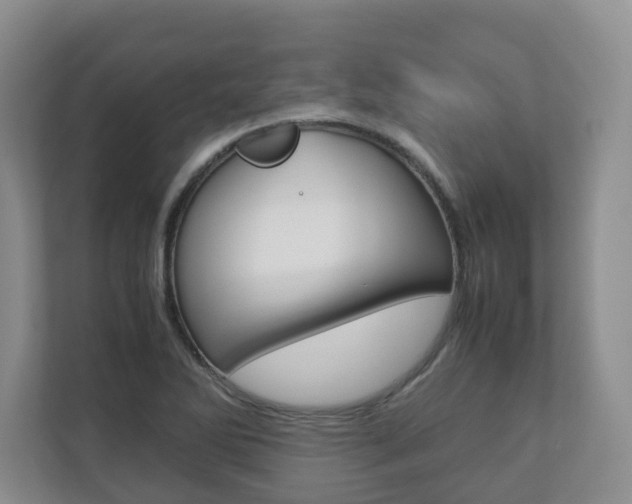 X0000112531270200908171137