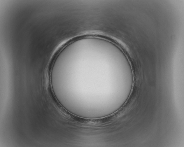 X0000112531271200908171137