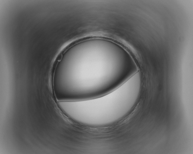 X0000112531272200908171137