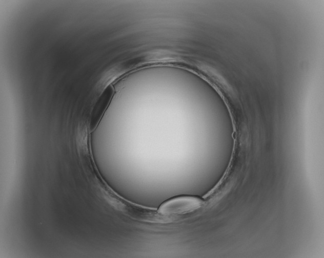 X0000112531273200908171137