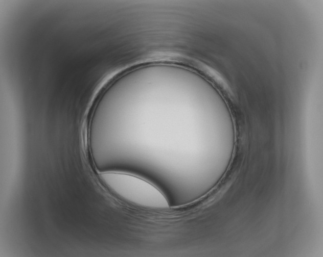 X0000112531275200908171137