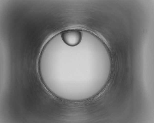 X0000112531277200908171137