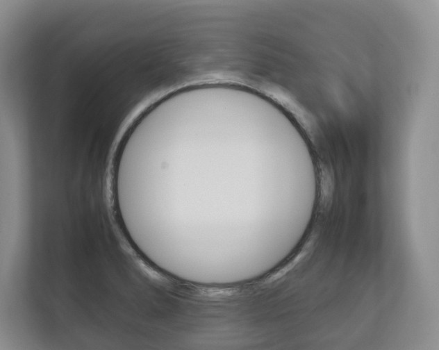 X0000112531278200908171137