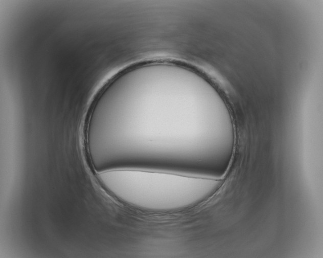X0000112531279200908171137