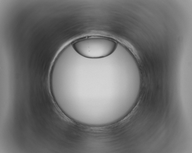 X0000112531280200908171137