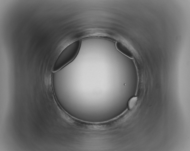 X0000112531281200908171137