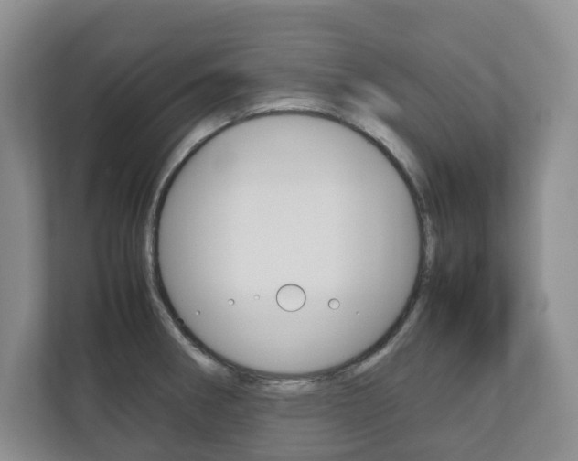 X0000112531282200908171137
