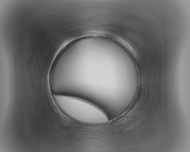 X0000112531283200908171137