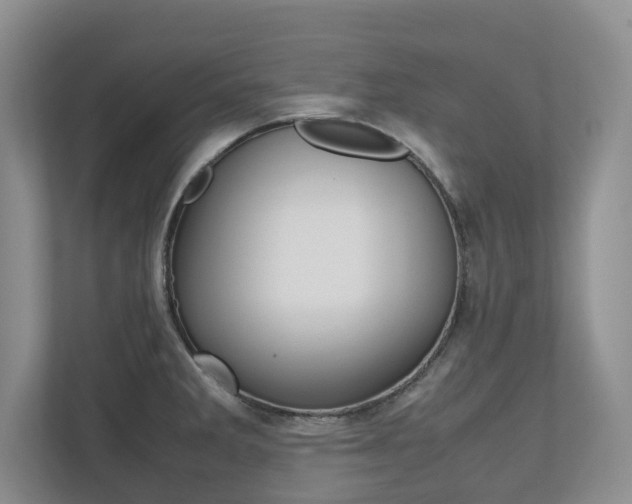 X0000112531285200908171137