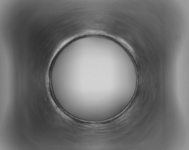 X0000112531287200908171137