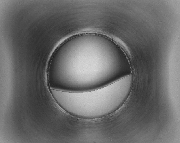 X0000112531288200908171137