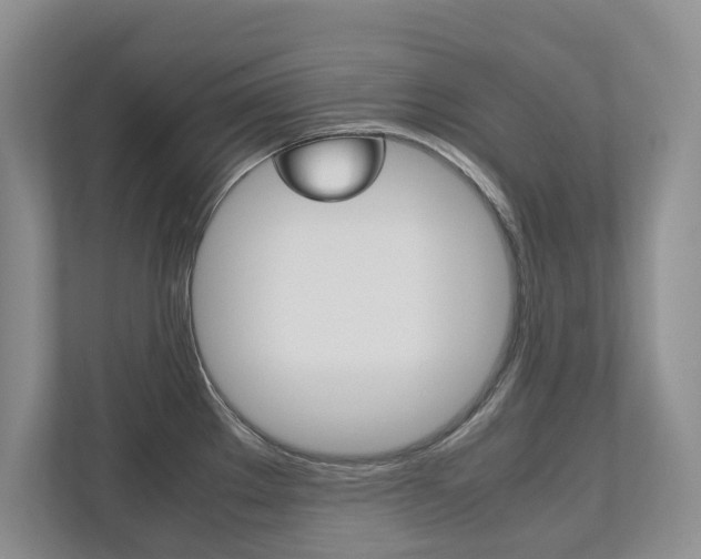 X0000112531289200908171137