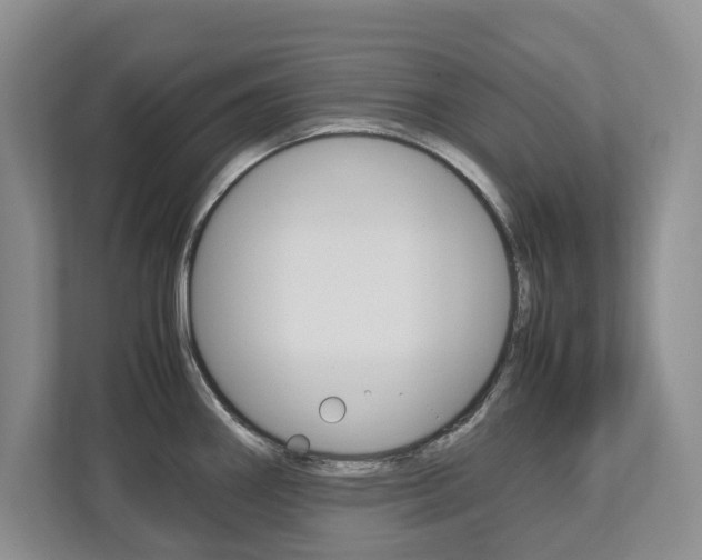 X0000112531290200908171137