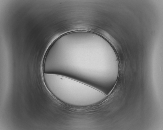 X0000112531291200908171137