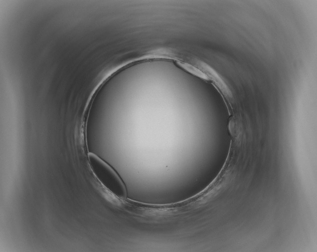 X0000112531292200908171137