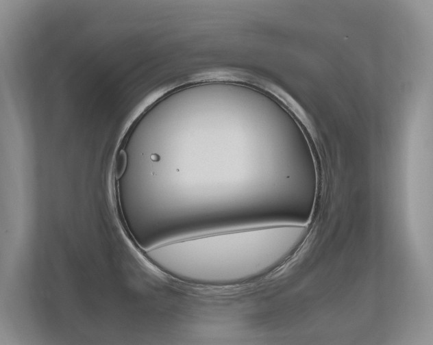 X0000112531293200908171137