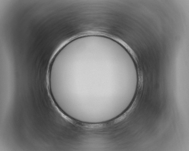 X0000112531294200908171137