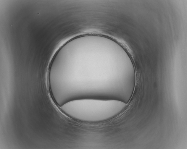 X0000112531295200908171137
