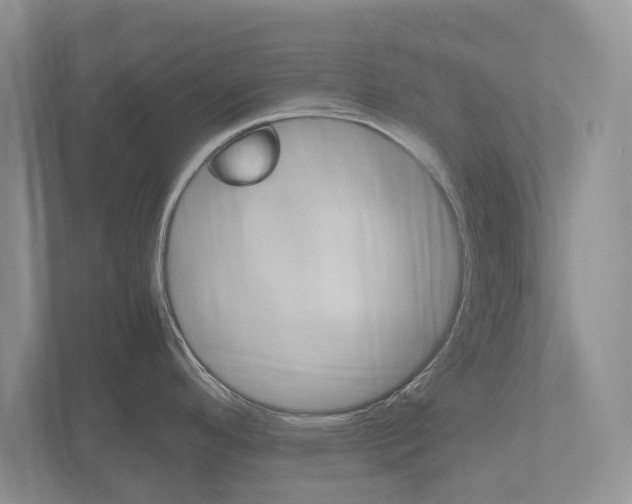 X0000112531296200908171137