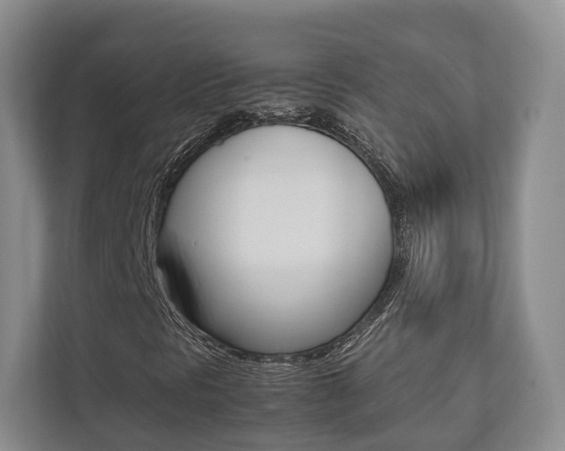 X0000112531297200908171136