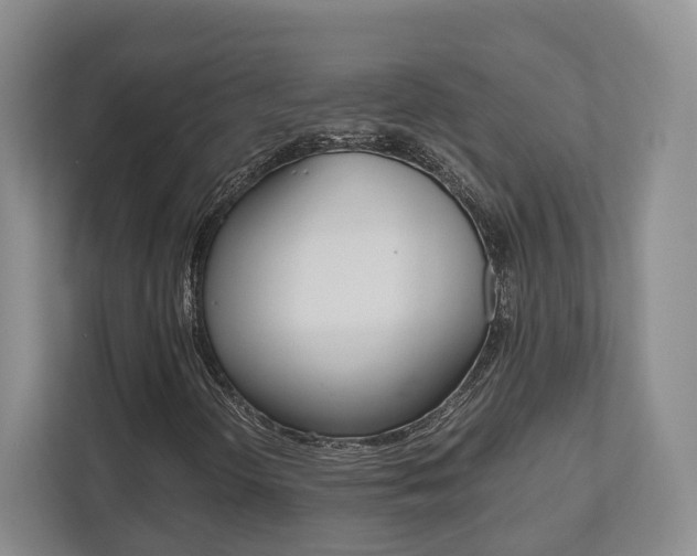 X0000112531298200908171136