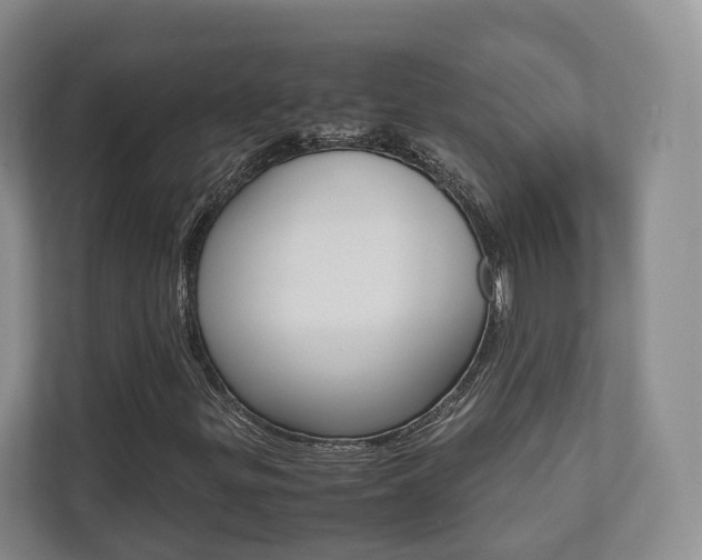 X0000112531299200908171136