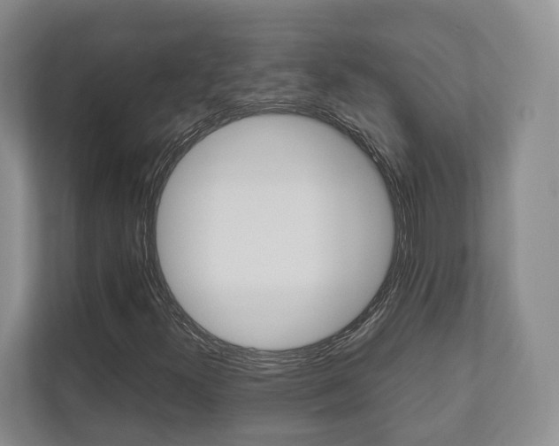 X0000112531300200908171136