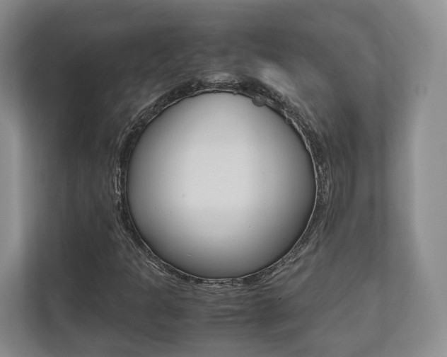 X0000112531301200908171136