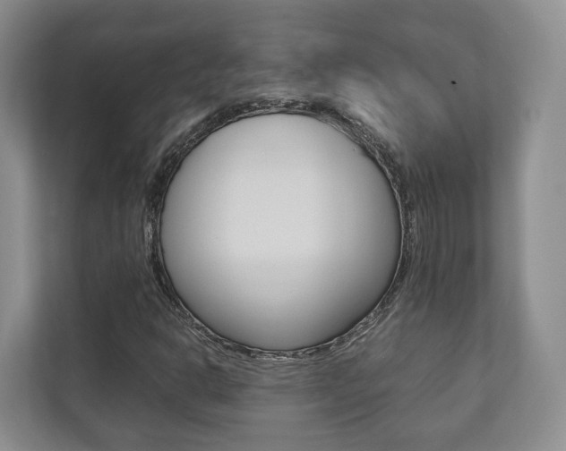 X0000112531302200908171136