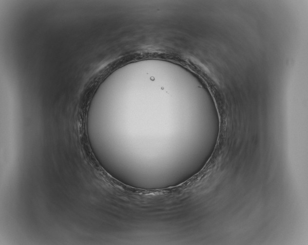 X0000112531303200908171136