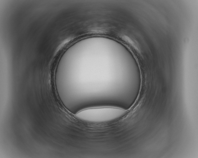 X0000112531307200908171136