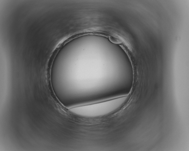 X0000112531308200908171136